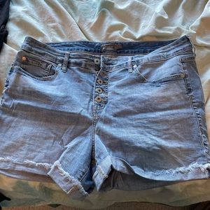 Torrid Denim Shorts